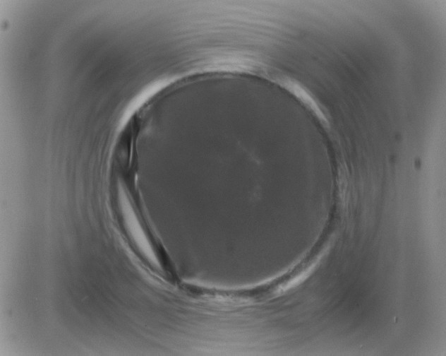 X0000081391077200701252058