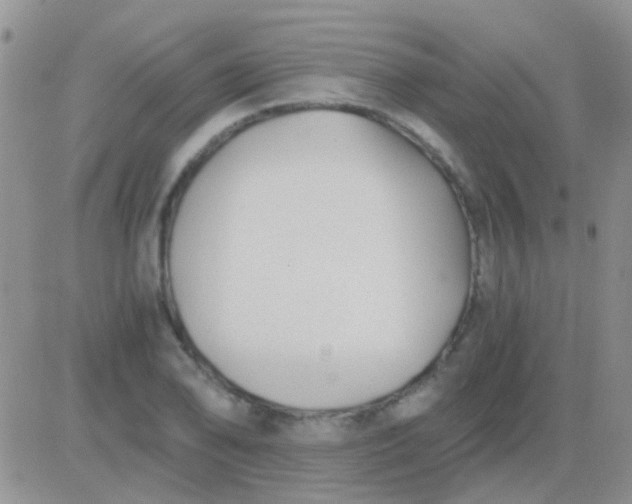 X0000081391078200701252058