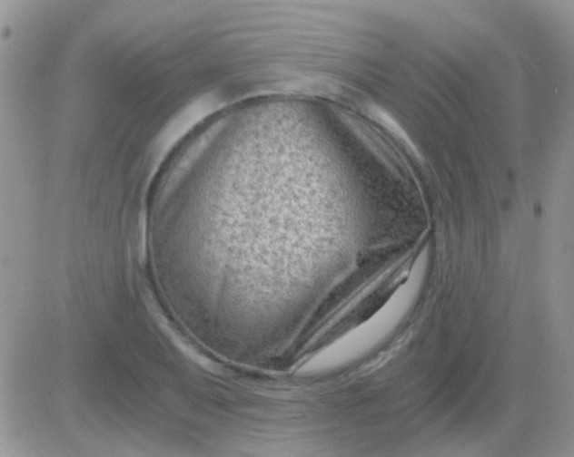 X0000081391079200701252058