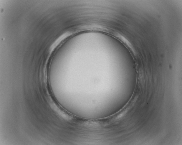 X0000081391082200701252058