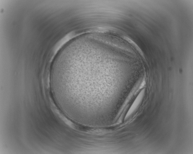 X0000081391083200701252058