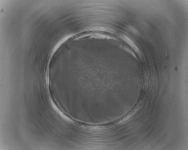 X0000081391084200701252058