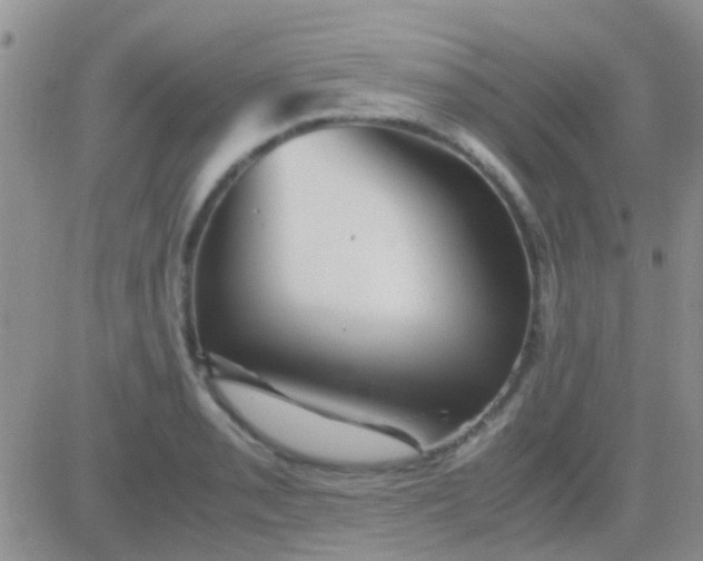 X0000081391085200701252058