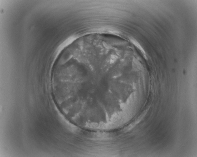 X0000081391087200701252058