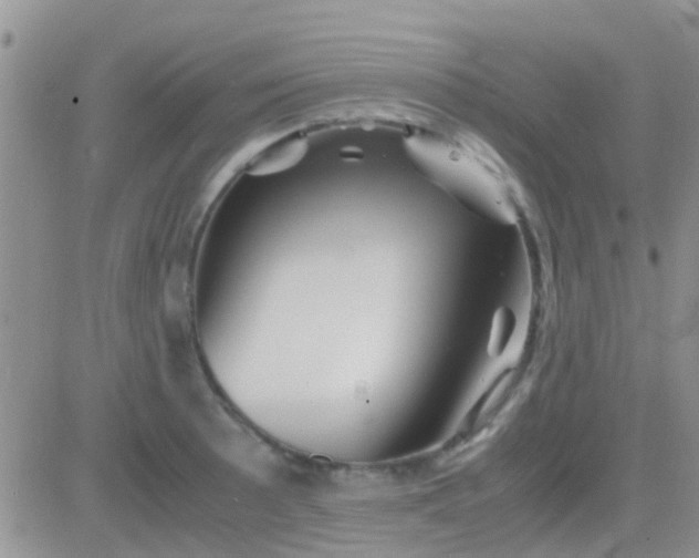 X0000081391089200701252058