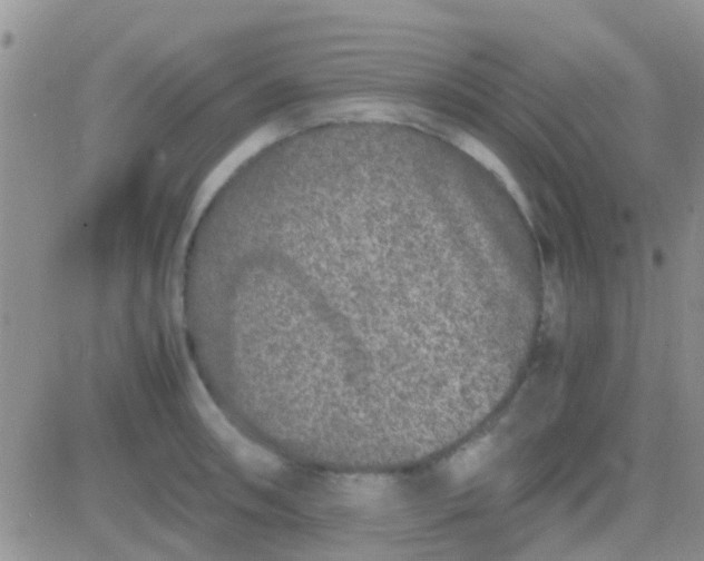 X0000081391090200701252058