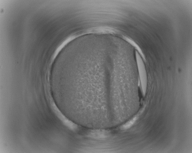 X0000081391091200701252058