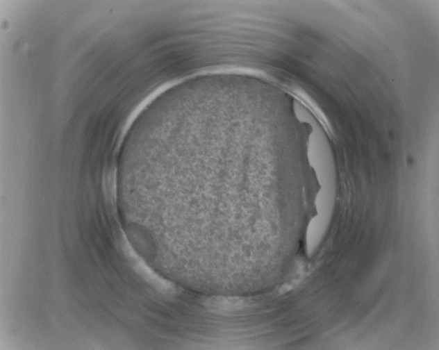 X0000081391092200701252058