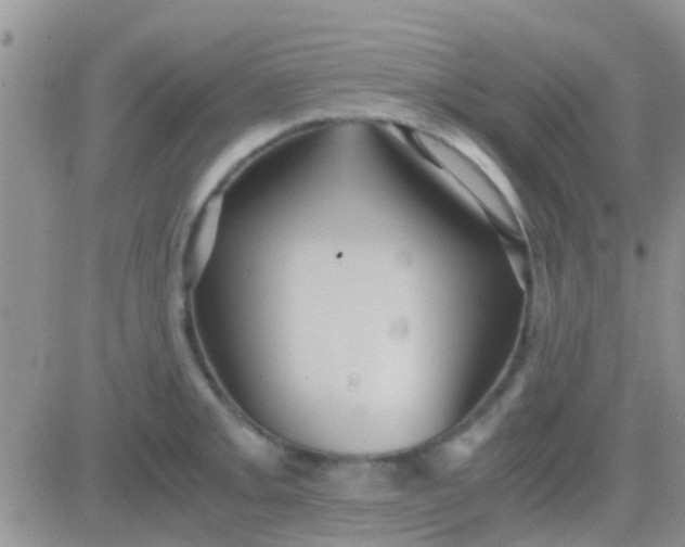 X0000081391093200701252058