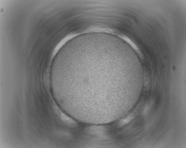 X0000081391094200701252058