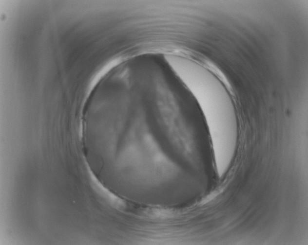 X0000081391095200701252058