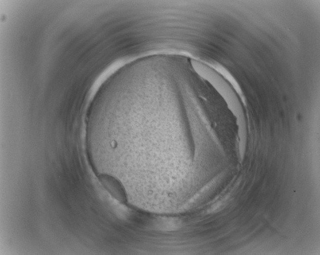 X0000081391096200701252058