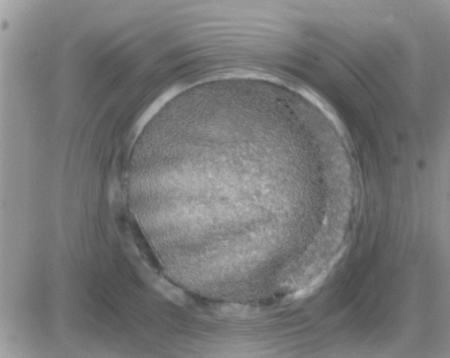 X0000081391097200701252058