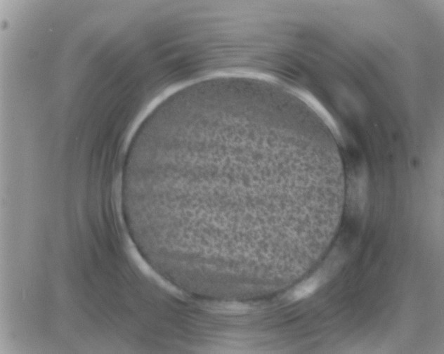 X0000081391100200701252058