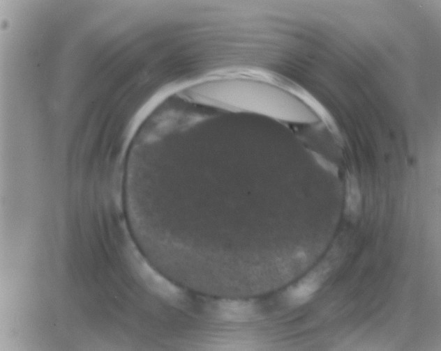 X0000081391102200701252058