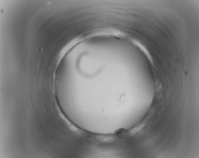 X0000081391103200701252058