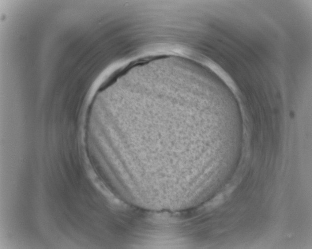 X0000081391104200701252058