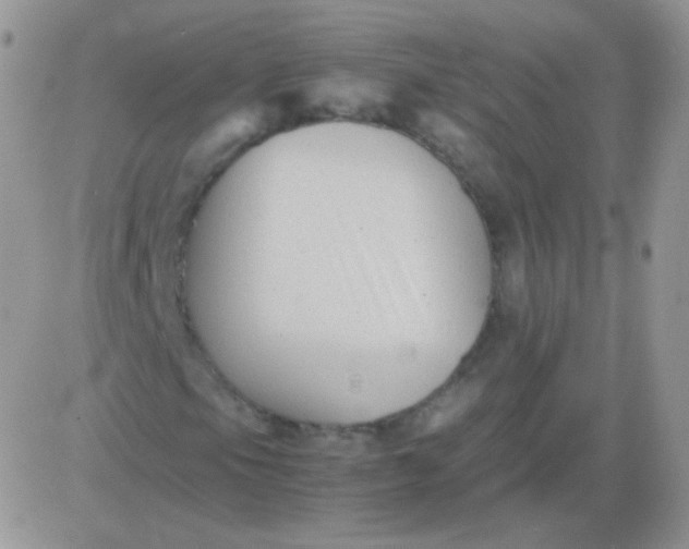 X0000081391105200701252057