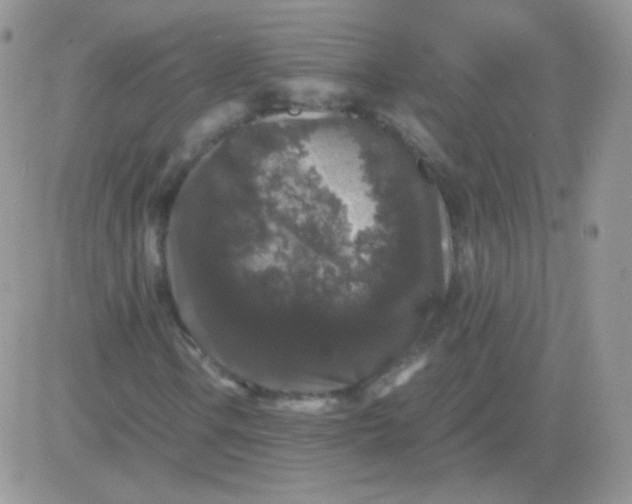 X0000081391106200701252057