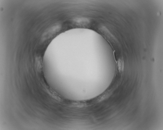 X0000081391107200701252057