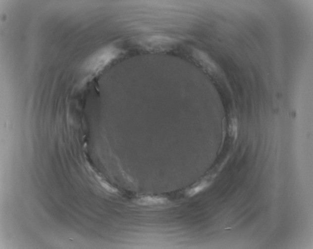 X0000081391108200701252057