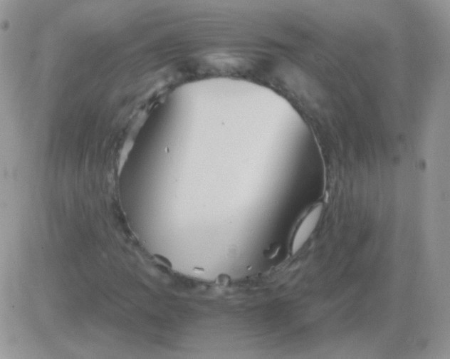 X0000081391109200701252057