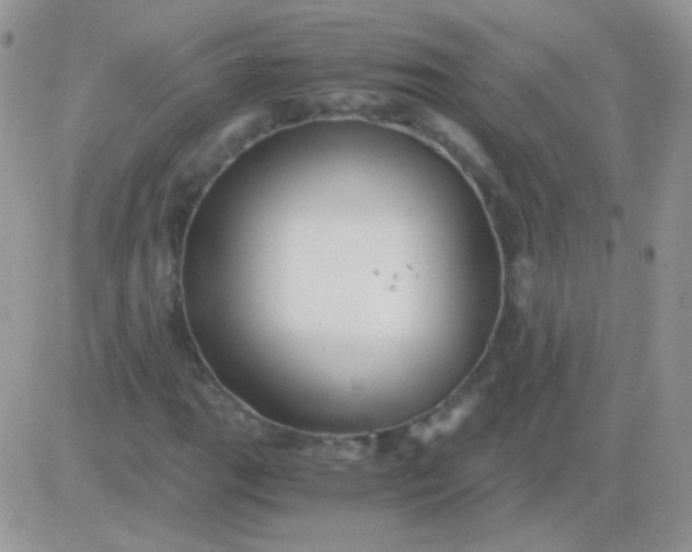 X0000081391111200701252057