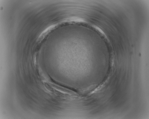 X0000081391112200701252057