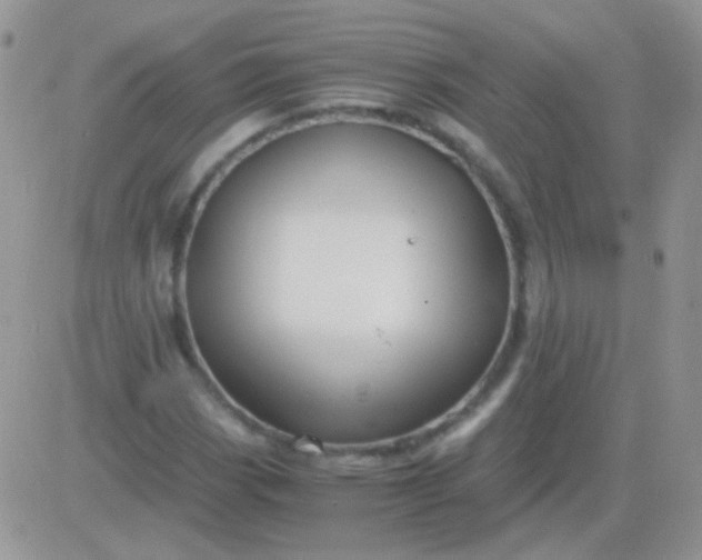 X0000081391113200701252057