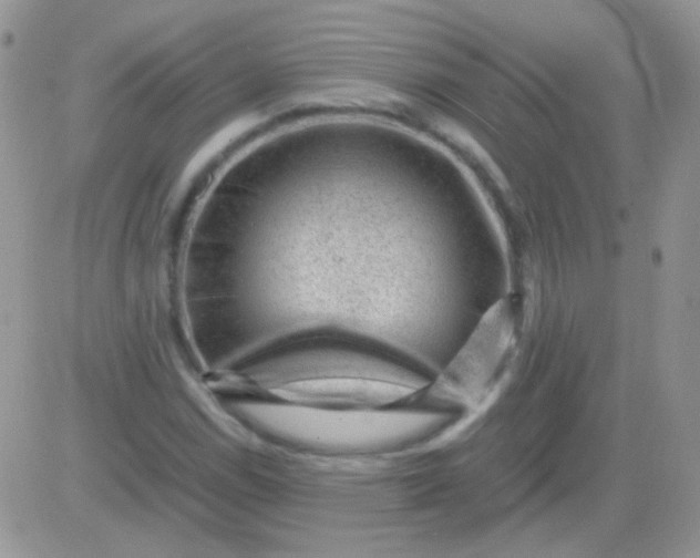 X0000081391114200701252057