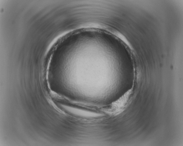 X0000081391116200701252057