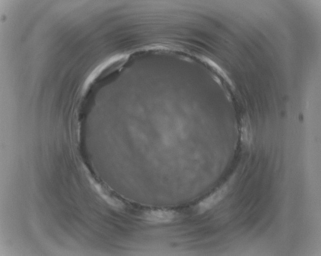 X0000081391117200701252057