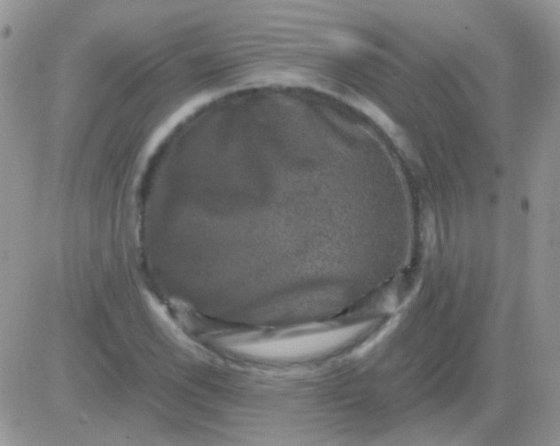 X0000081391118200701252057