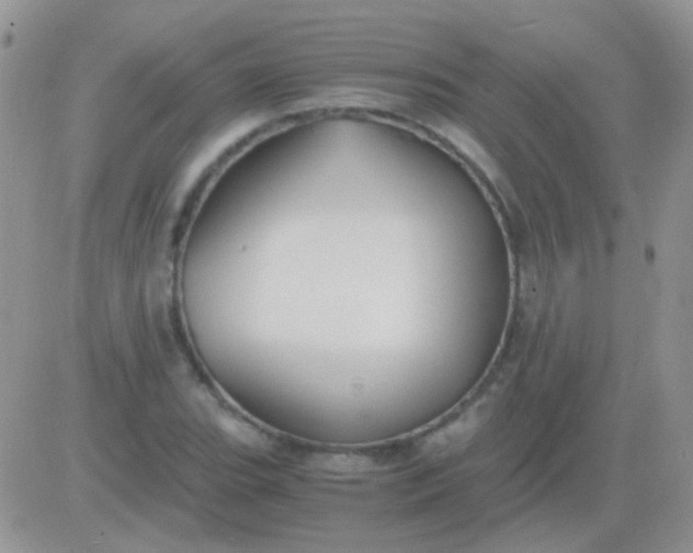 X0000081391119200701252057