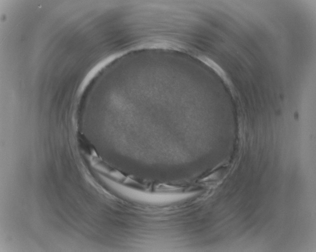 X0000081391120200701252057