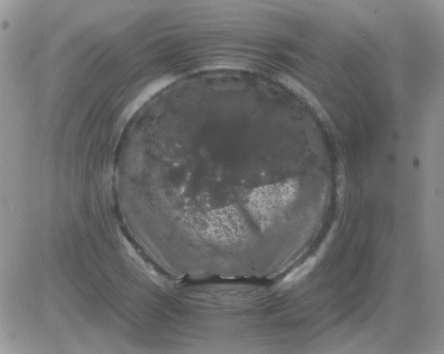 X0000081391121200701252057