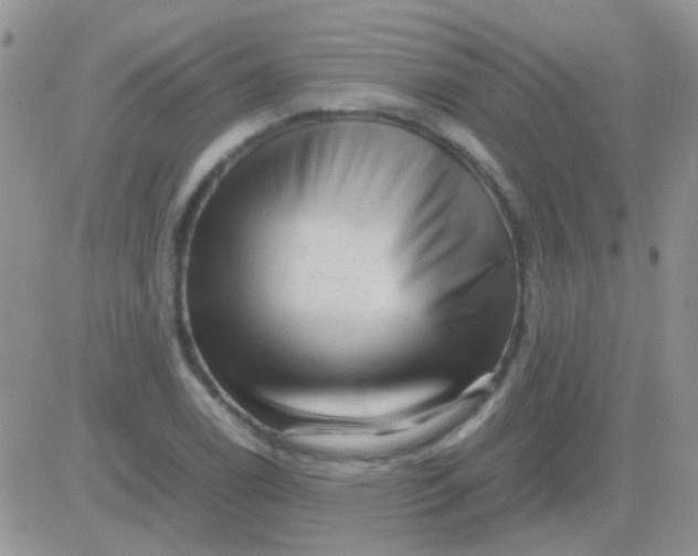 X0000081391122200701252057