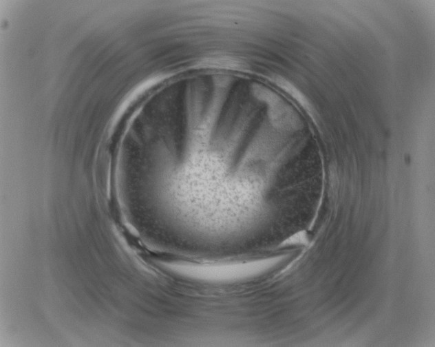 X0000081391123200701252057