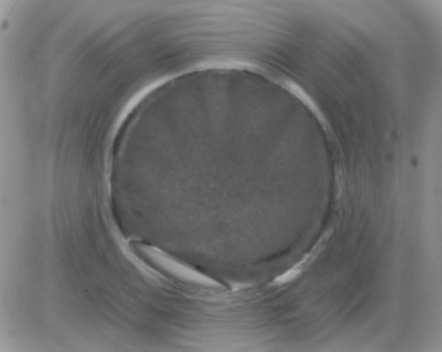 X0000081391124200701252057