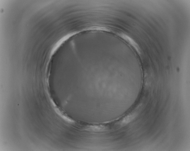 X0000081391125200701252057