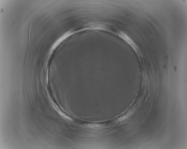 X0000081391127200701252057