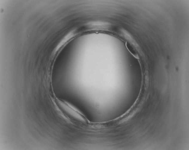 X0000081391129200701252057