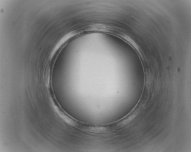 X0000081391131200701252057