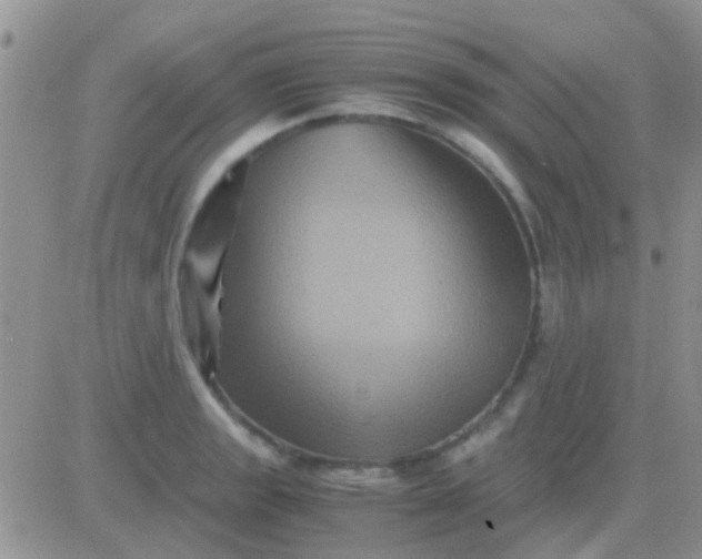 X0000081391133200701252057