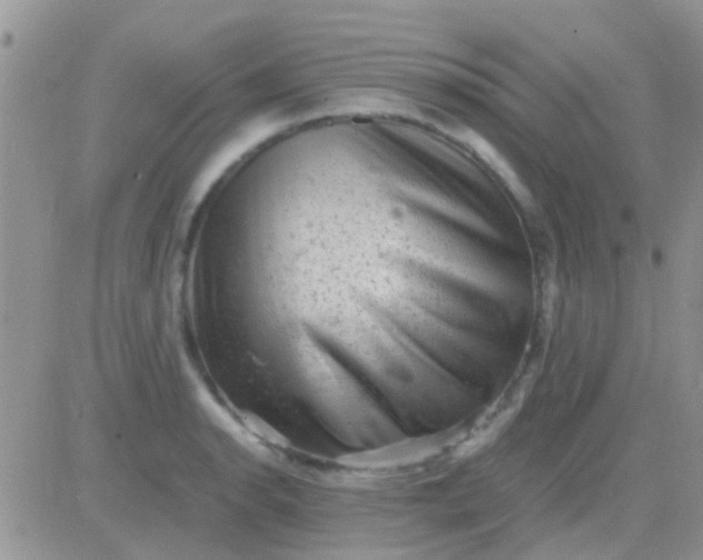 X0000081391134200701252057