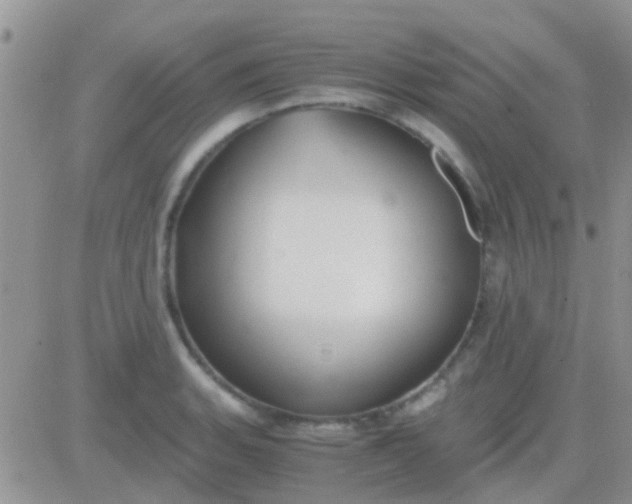 X0000081391135200701252057