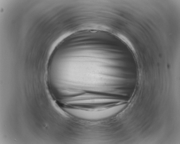 X0000081391136200701252057