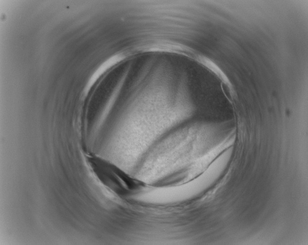 X0000081391138200701252057