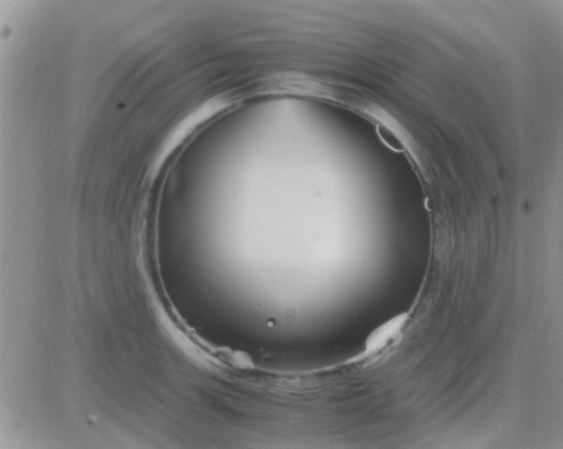 X0000081391139200701252058