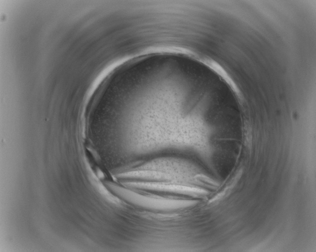 X0000081391140200701252058